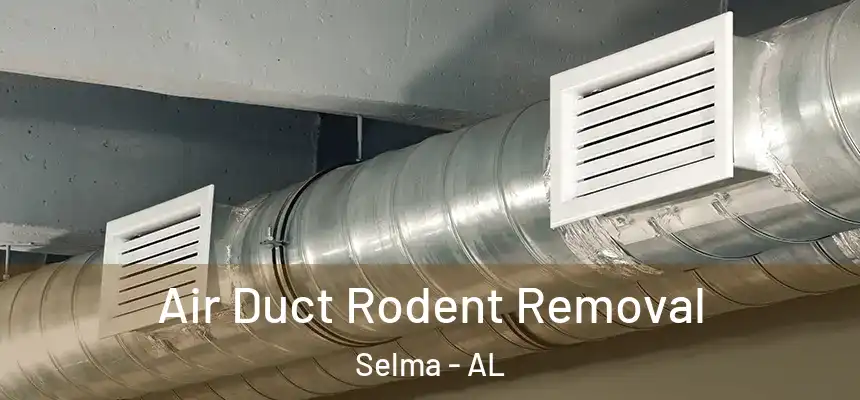  Air Duct Rodent Removal Selma - AL