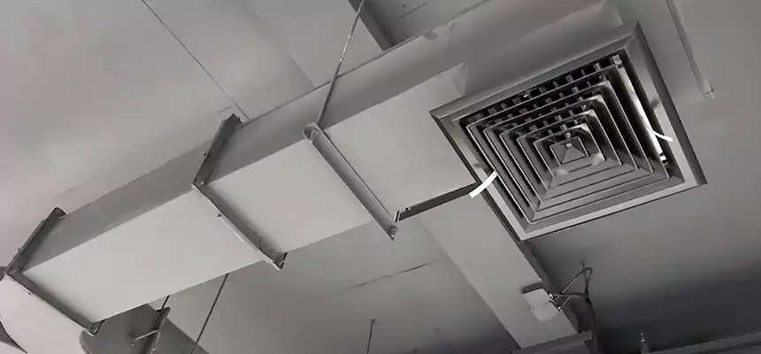 Restorative Allergy Relief Vent Cleaning – Coil, Blower & Housing Detail in Selma