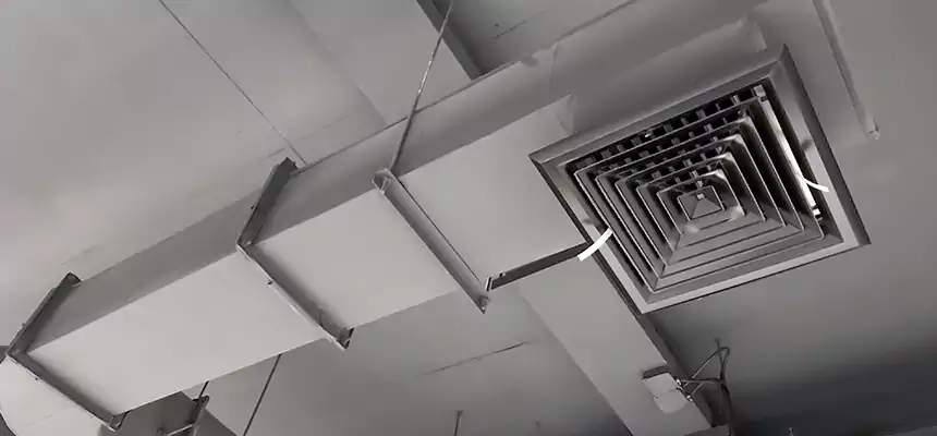 Our Pest Removal From Ducts Services in Selma, AL