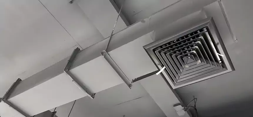 Our Rodent Droppings In Vents Services in Selma, AL