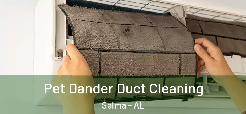 Pet Dander Duct Cleaning Selma - AL