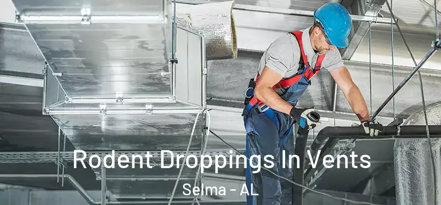 Rodent Droppings In Vents Selma - AL