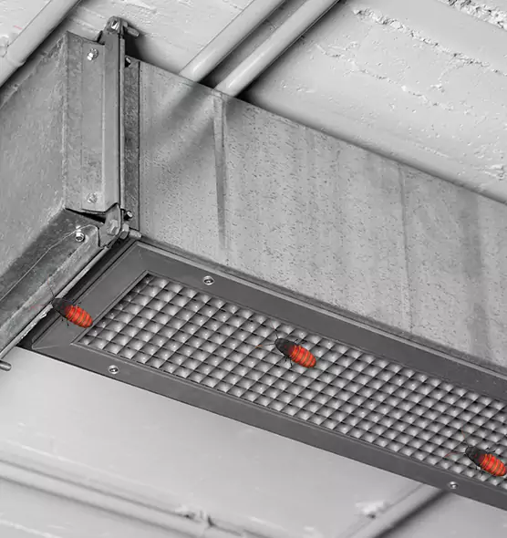 About Air Duct Cockroach Removal in Selma, AL