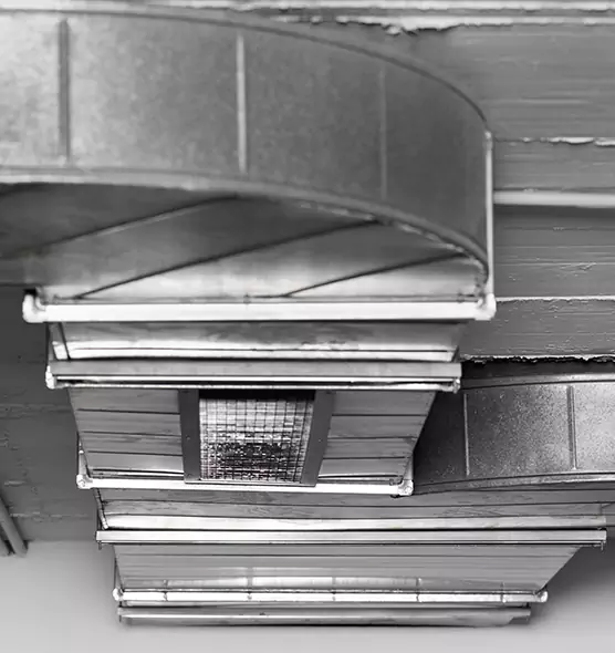 Professional Air Duct Pet Hair Removal in Selma, AL