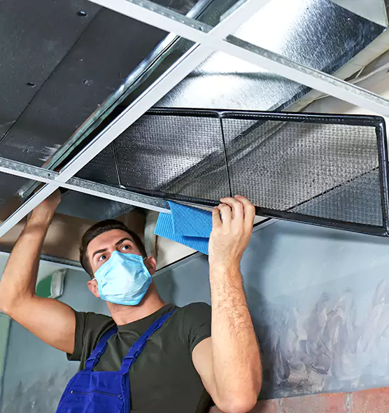 Professional Air Duct Pollen Cleaning in Selma, AL