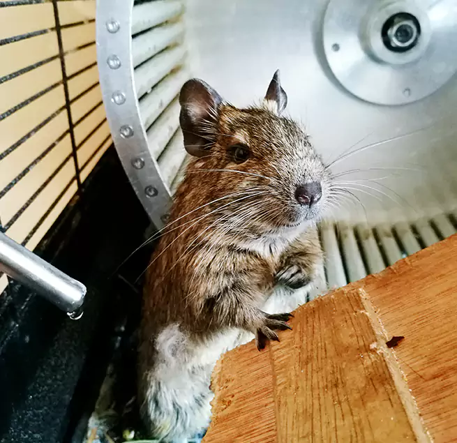 Why Homeowners & Businesses Trust Us Selma, AL?